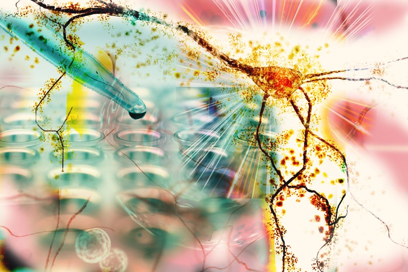 Magyar felfedezés: ez az idegpálya felel az emlékeink kialakulásáért!