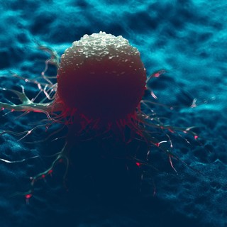 A ráknak is van saját mikrobiomja - önmagát védi vele a tumor! című cikk nyitóképe