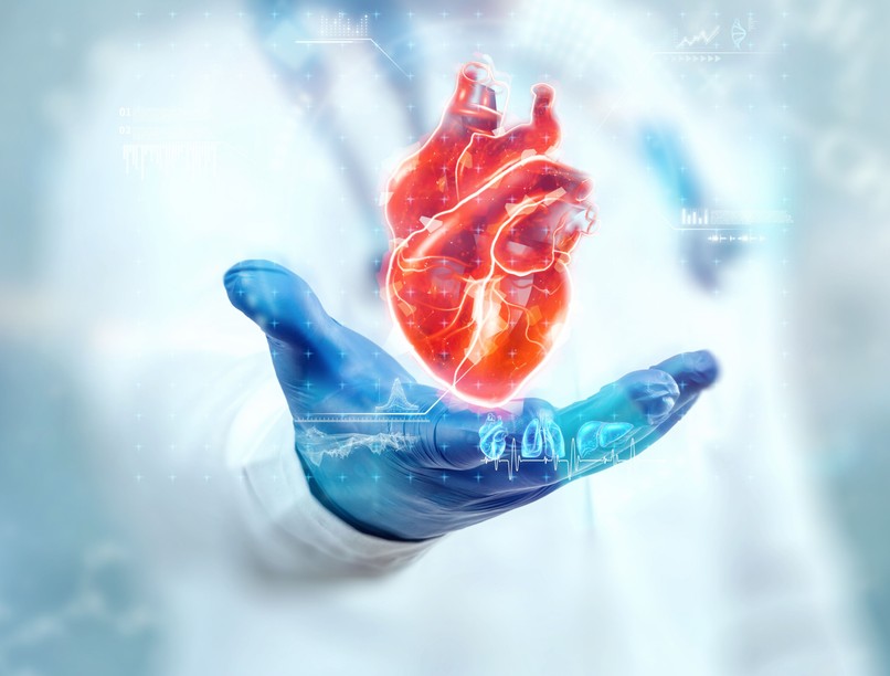 szívinfarktus vérkép szívbeteg