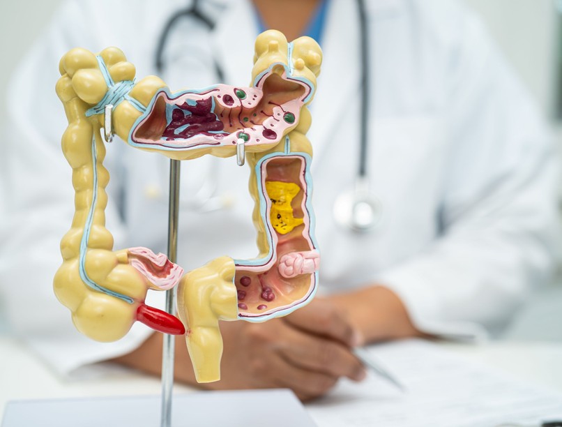 mi a vakbél szerepe