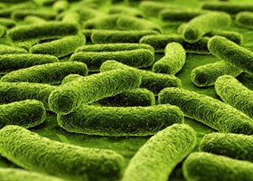 A legpusztítóbb járványokat okozó betegségekről, a pestisről, koleráról, himlőről, lepráról mindenki hallott, ha másutt nem, a történelemórákon. De tényleg csak a múlt tanulmányozása során találkozhatunk ezekkel, vagy valós veszélyt jelentenek?