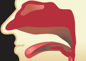 Az orrnyálkahártya elárulja a halál idejét...