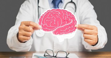 Hogyan működik az emberi agy?