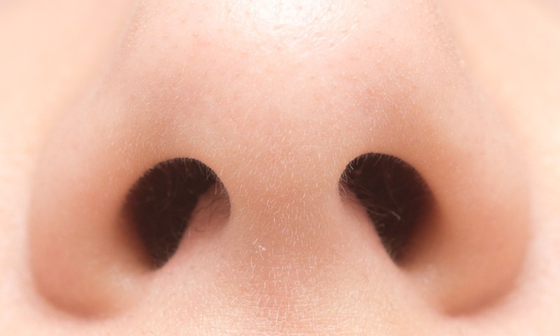 Miért van két orrlyukunk? A két orrlyuknak eltérő szerepe van