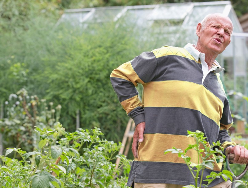 derékfájdalom izomhúzódás kerti munka