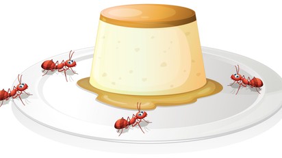 Hangyajoghurt: 4 hangya segítségével támasztották fel a Balkán elfeledett joghurtreceptjét című cikk nyitóképe