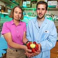 Zöldségekkel és gyümölcsökkel az Alzheimer-betegség ellen?