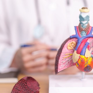 Tüdőfibrózis tünetei, vizsgálata és kezelése című cikk nyitóképe