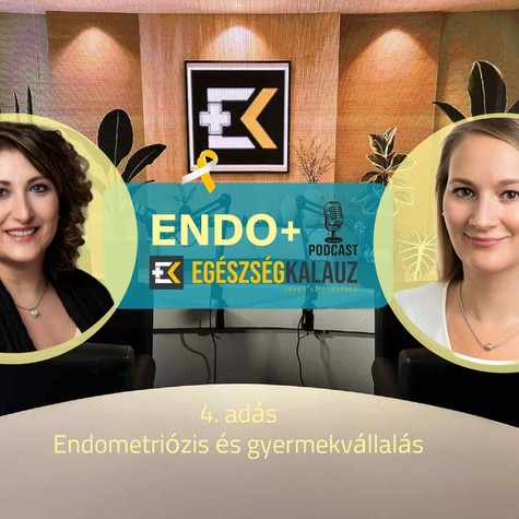 Lehet-e gyermekem endometriózissal?  Remények, lehetőségek és valós esélyek - ENDO+ videós podcast című cikk nyitóképe