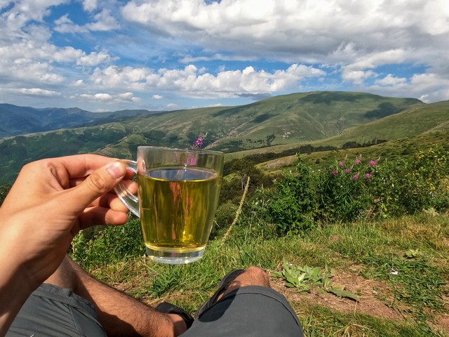 Nyári méregtelenítés: ezeket a gyógynövényeket ajánlja hozzá Szabó Gyuri bácsi