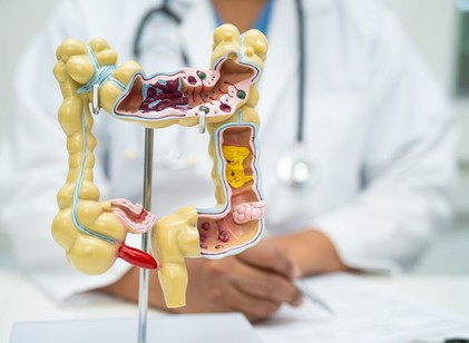 Nem is olyan felesleges szerv: az evolúció új fényben mutatja meg a vakbél szerepét című cikk nyitóképe