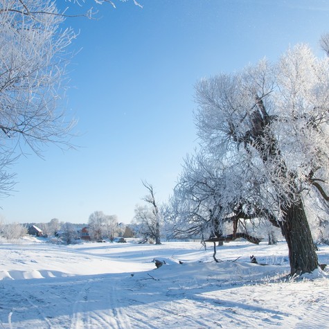 Sarkvidéki hideg érkezik: így készüljön fel a mínuszokra című cikk nyitóképe