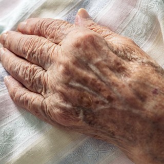 A szív megáll, de az agy még dolgozik? Mi történik a vég után? című cikk nyitóképe