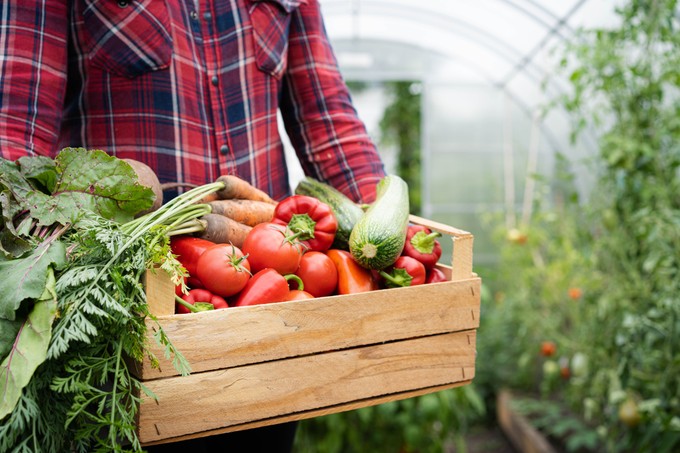 Honnan tudhatja biztosra, hogy egy készítmény bio vagy sem? című cikk nyitóképe