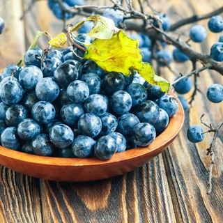 A természet rejtett kincse: ezért érdemes ősszel kökényt fogyasztani című cikk nyitóképe