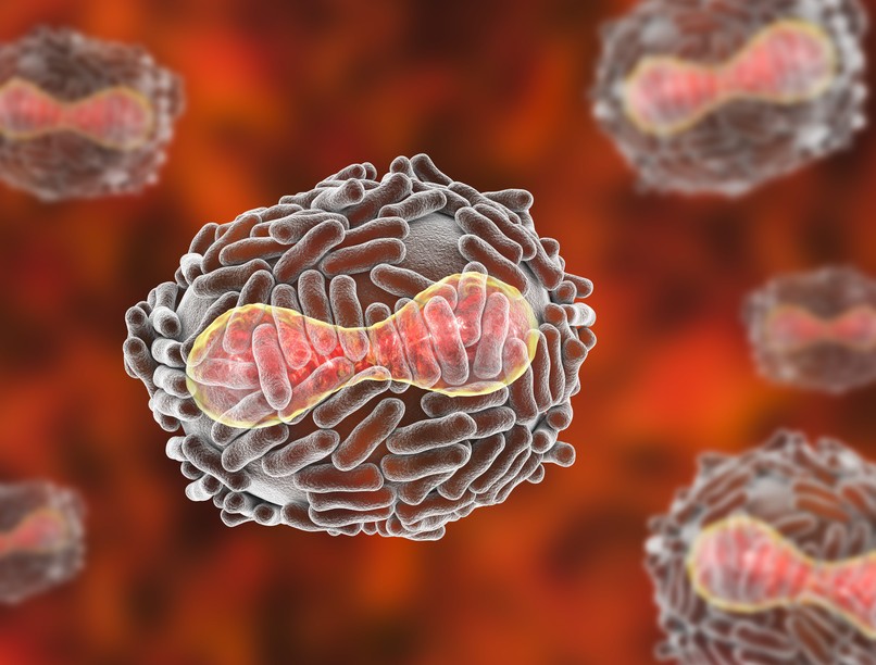 vírus, fertőzés, fekete himlő, koronavírus, fekete halál, himlő, ragya, Poxvirus variolae