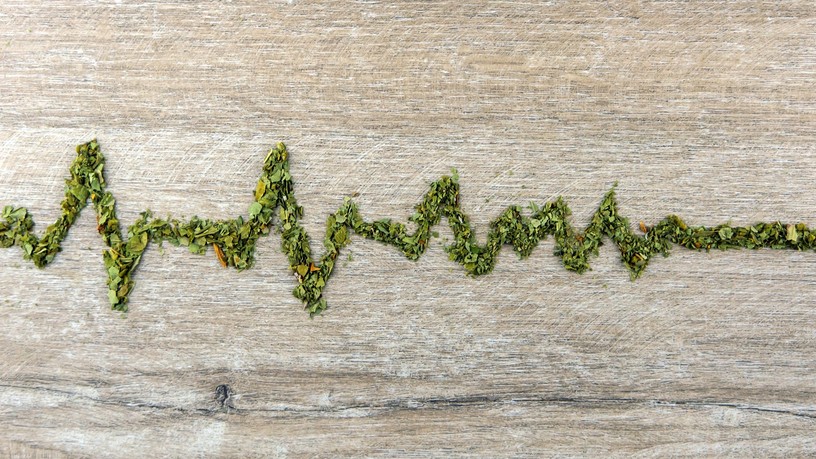 szívritmuszavar esélye orvosi kannabisz kutatás