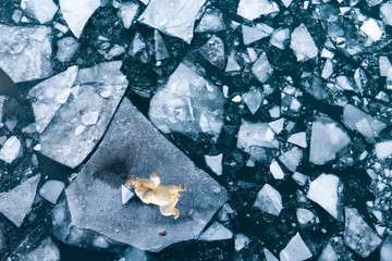 Újabb világjárvány veszélyezteti a világot? Megkongatták a vészharangot a tudósok