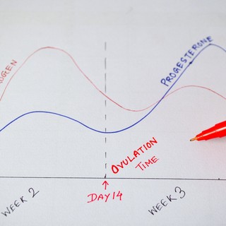 Hogyan jelzi a szervezet, ha túl magas az ösztrogén szintünk? című cikk nyitóképe