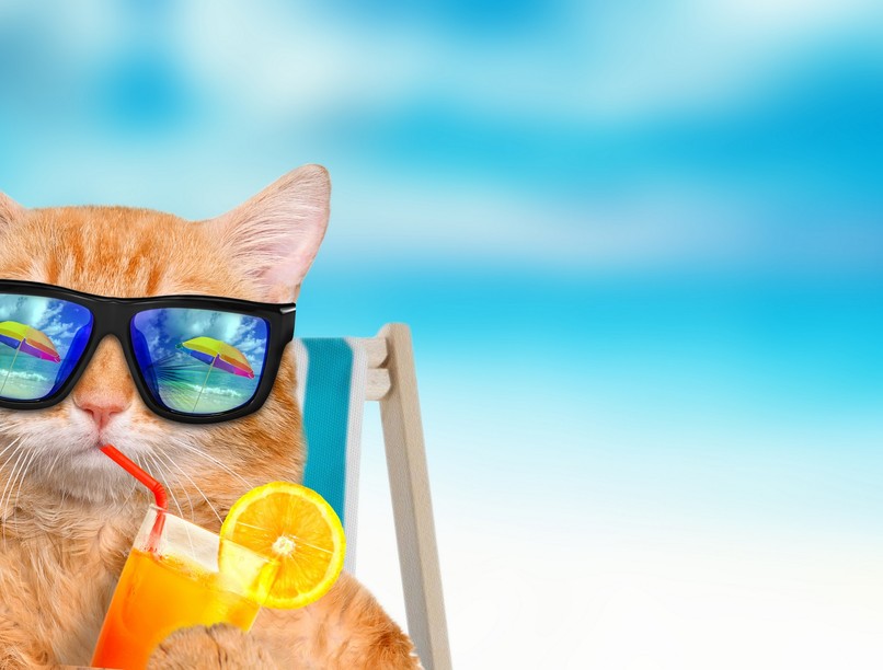 időjárás, front, meteorlógia