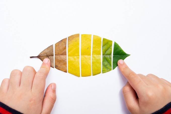 Befolyásolja-e az alkohol az biológiai-korunkat? Így hat az alkoholfogyasztás az öregedés ütemére című cikk nyitóképe