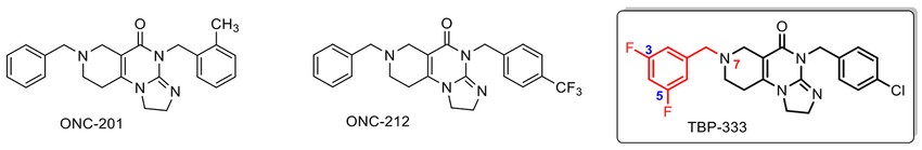 1.ábra: Az Egyesült Államokban kifejlesztett, immár klinikai és preklinikai tesztekben vizsgált ONC-201 és ONC-212 imipridonok és az ELTE Szerves Kémiai Tanszék laboratóriumában kifejlesztett, az előbbieknél jóval hatékonyabb TBP-333 imipridon molekula szerkezete.