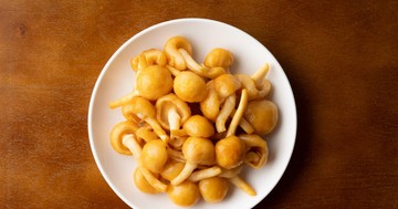 Ez az apró gomba segíthet megszabadulni a mikroműanyagoktól