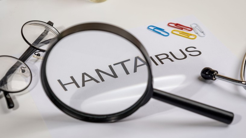 hantavírus légiutaskísérő járvány hírek