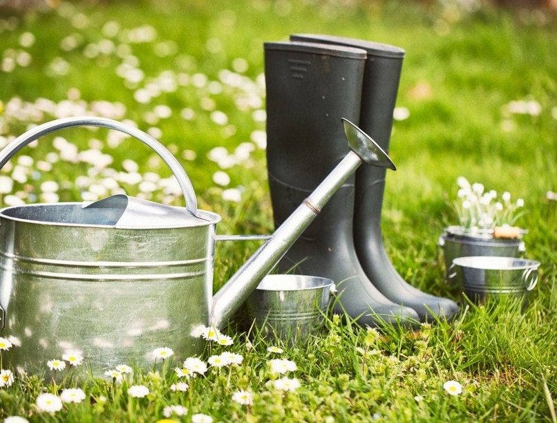 kullancs kert lyme-kór megelőzés hogyan