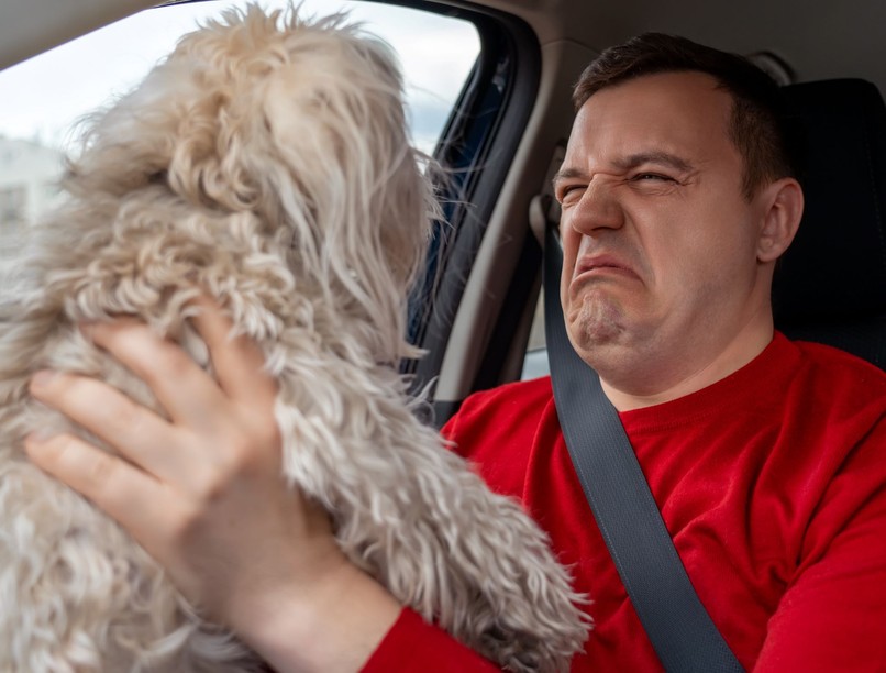 Mitől büdös a kutya szája