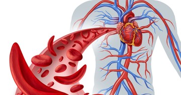 Annyi idősek vagyunk, mint az ereink? Ezektől a tényezőktől függ