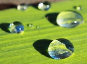 Súlycsökkentéssel az inkontinencia ellen?