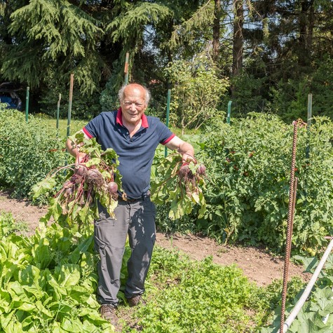 Már a halál kapujában állt: majdnem 3 kilogramm céklát evett meg hetente egy férfi! című cikk nyitóképe