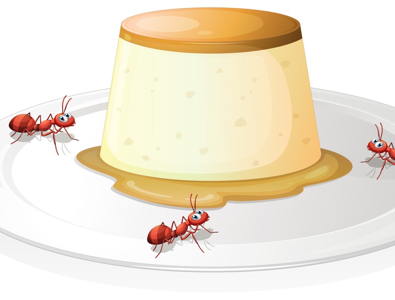 legjobb ősi balkáni török joghurt