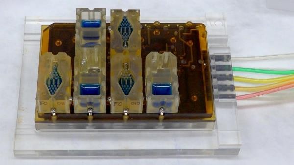 A menstruációs szimulátor segítségével könnyebben orvosolható lehet a meddőség, az endometriózis vagy a mióma.