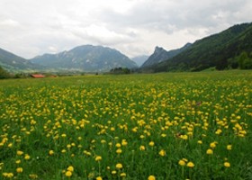 A tavasz ravasz! – Apró praktikák a tavaszi megfázás ellen