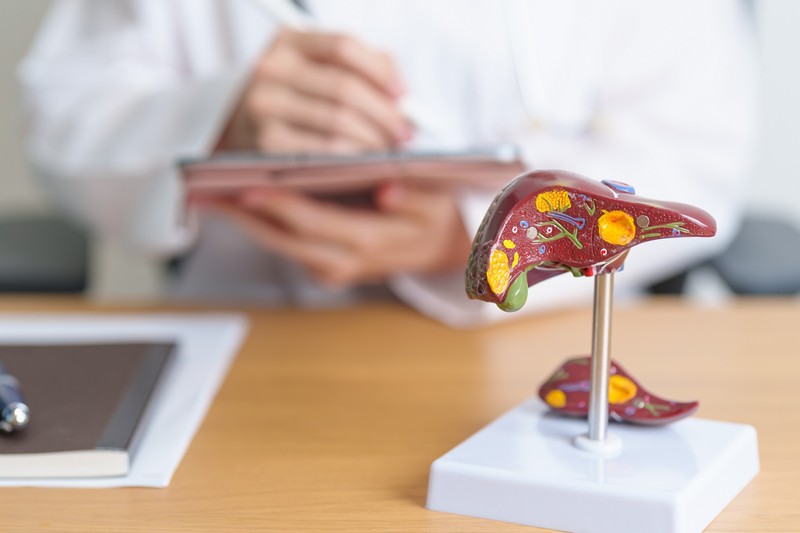 Hepatitisz: szabad májgyulladással alkoholt inni?