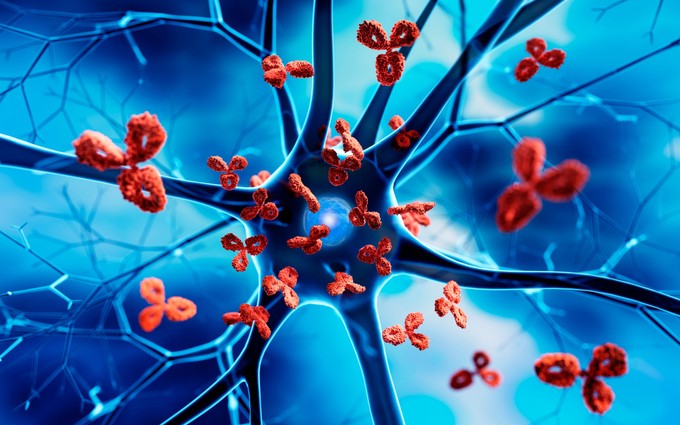 Ezek azok a tünetek, amiknek autoimmun oka is lehet című cikk nyitóképe