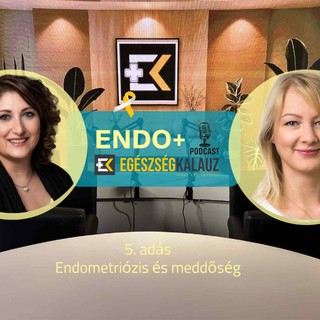 Meddőség és endometriózis: Amikor a diagnózis az anyaság álmát is megkérdőjelezi – ENDO+ videós podcast című cikk nyitóképe