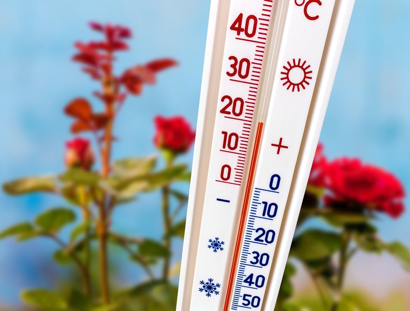 meteorológia, orvosmeteorológia, front, fronthelyzet, időjárás, időjárás-érzékenység, fejfájás, migrén