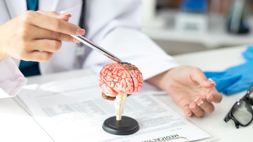 alzheimer-kór kutatás oka tanulmány