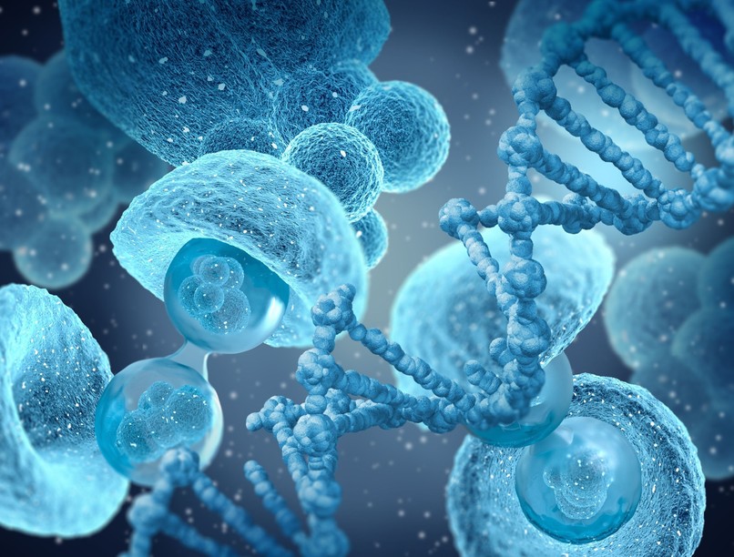 őssejtterápia mikor van rá szükség