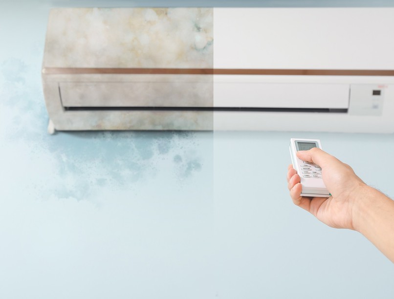 klíma, halál, new york