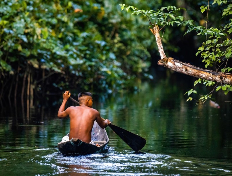 trópusi betegség, phlebovírusl, dengue-láz, Peru