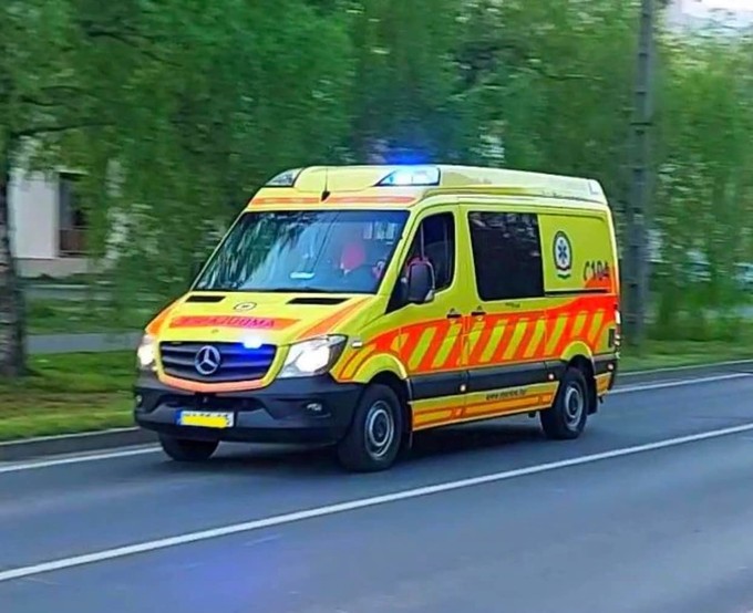 Mentők mentették meg két 75 éves férfi barátságát című cikk nyitóképe