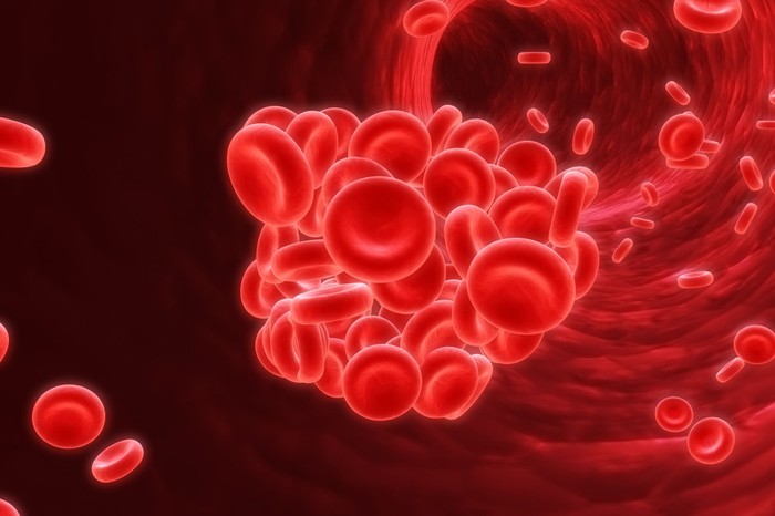 Mitől alakul ki a vérrög, és hogyan lehet csökkenteni a kockázatát?