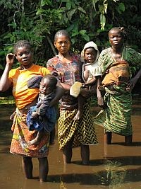 Miért kicsik a pigmeusok?