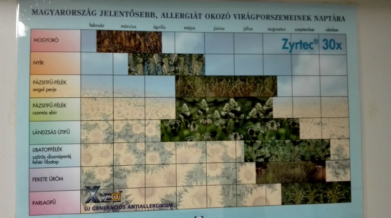 Zsebkendőt elő, itt a tavaszi allergiaszezon!