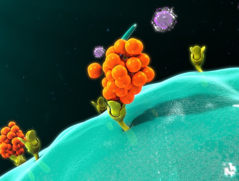 Citokinvihar koronavírus fertőzés közben