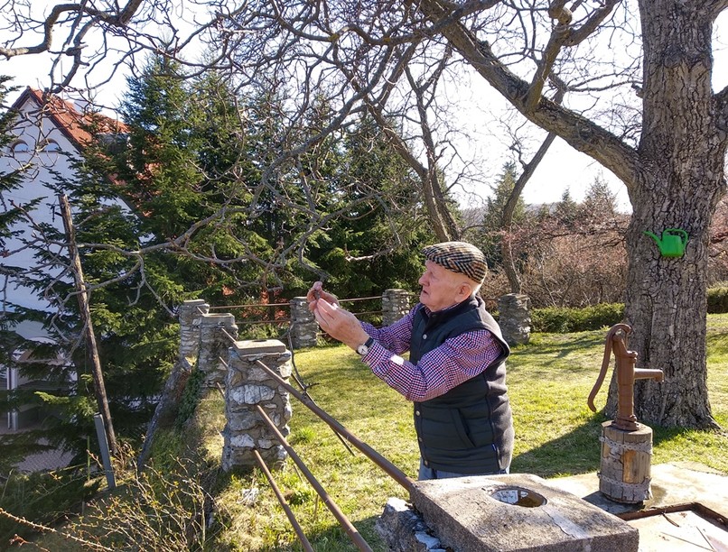 Szabó Gyuri bácsi, bükki füvesember